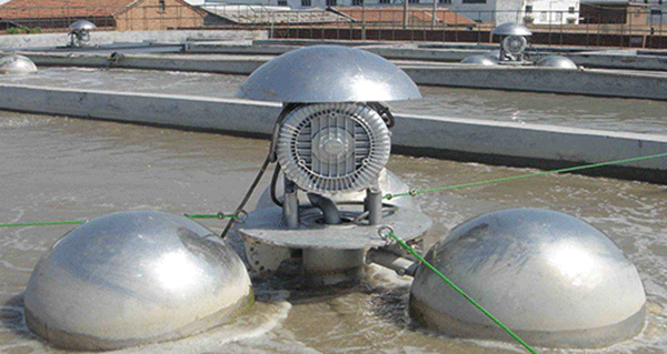 如何根據(jù)西瑪電機(jī)的外表來檢查防護(hù)等級(jí)的一致性? 如何根據(jù)西瑪電機(jī)的外表來檢查防護(hù)等級(jí)的一致性?